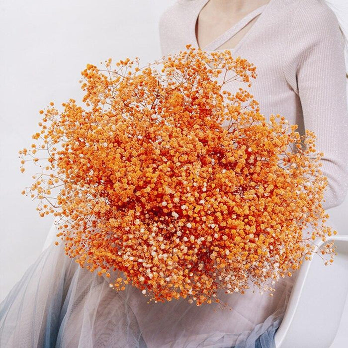 Elegant Preserved Baby's Breath Flowers: A Stylish Touch for Your Events and Home Decor