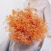 Elegant Preserved Baby's Breath Flowers: A Stylish Touch for Your Events and Home Decor