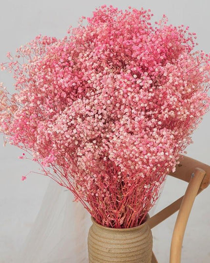 Elegant Preserved Baby's Breath Flowers: A Stylish Touch for Your Events and Home Decor