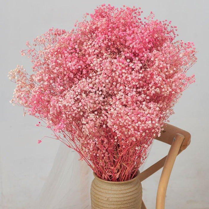 Elegant Preserved Baby's Breath Flowers: A Stylish Touch for Your Events and Home Decor