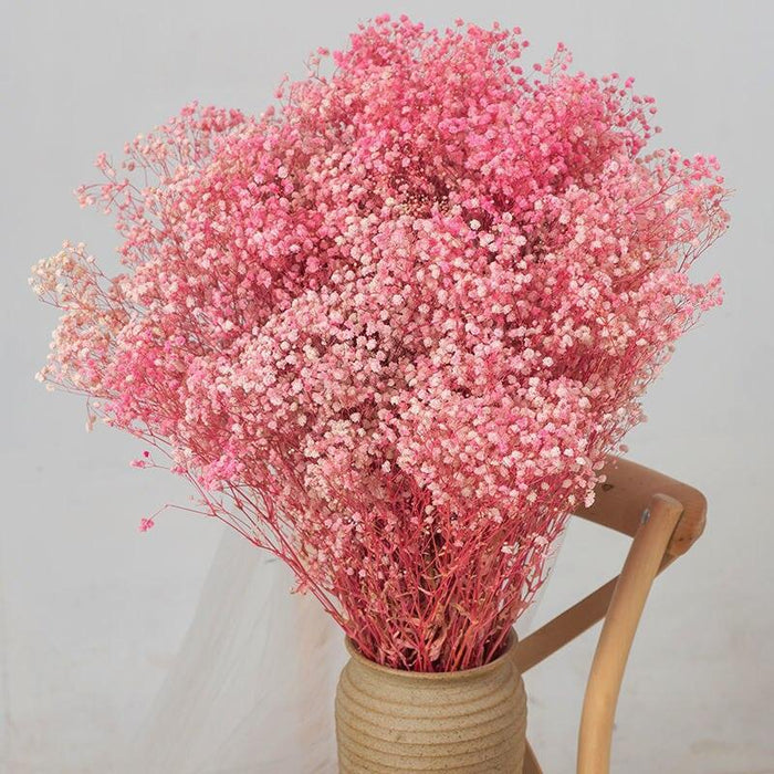 Elegant Preserved Baby's Breath Flowers for Stylish Events and Decor