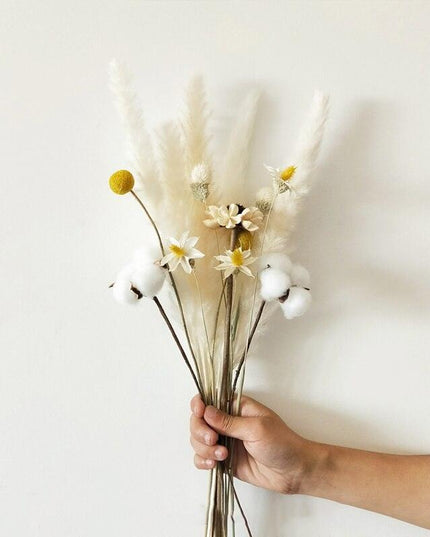 Elegant Dried Pampas Grass Arrangement for Trendy Home Styling