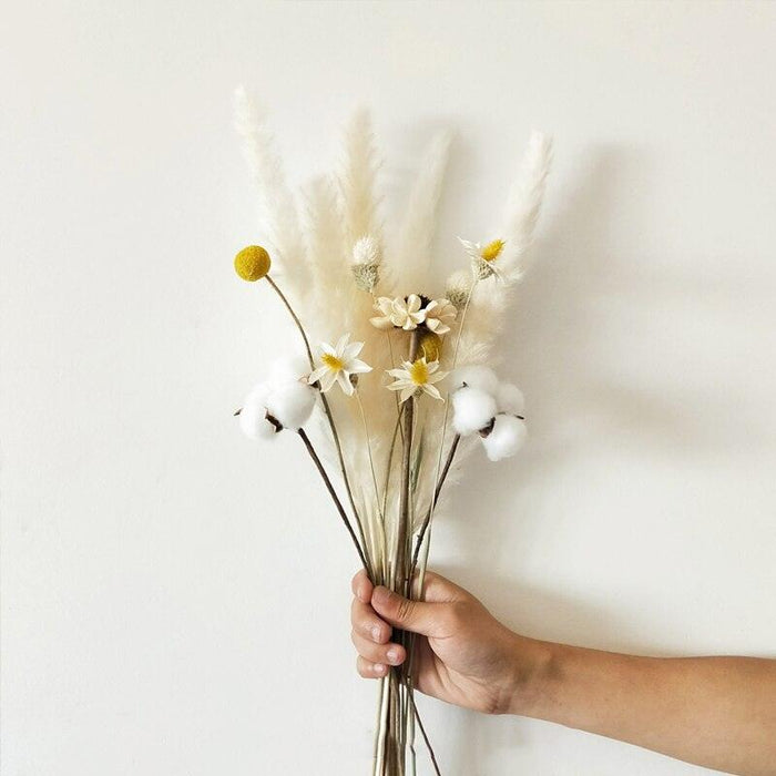 Elegant Dried Pampas Grass Arrangement for Trendy Home Styling
