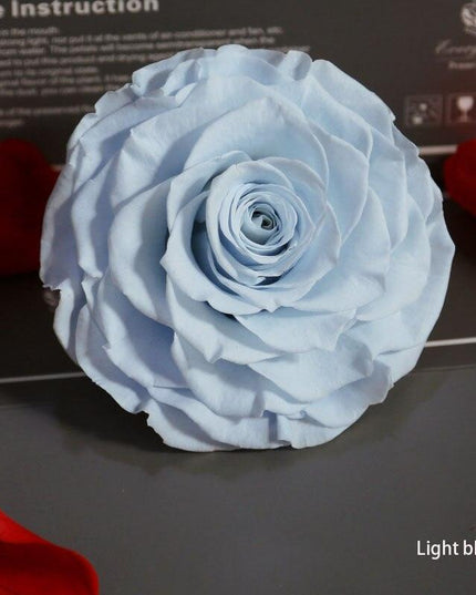 Timeless Grace: Luxurious Preserved Rose Head for Lasting Splendor
