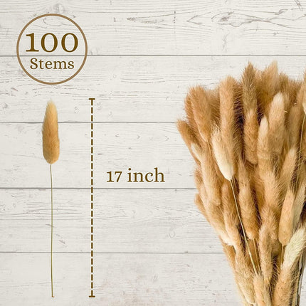 Rustic Boho Bunny Tail Dried Flower Arrangement for Weddings and Home Decor