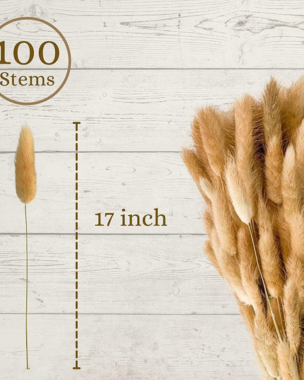 Rustic Boho Bunny Tail Dried Flower Arrangement for Weddings and Home Decor