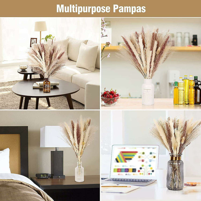 Natural Dried Pampas Grass Bouquet Collection - 75 Stems