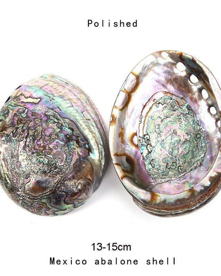 Exquisite Abalone Shell Smudging Kit with Elegant Tripod Stand - 11-13CM