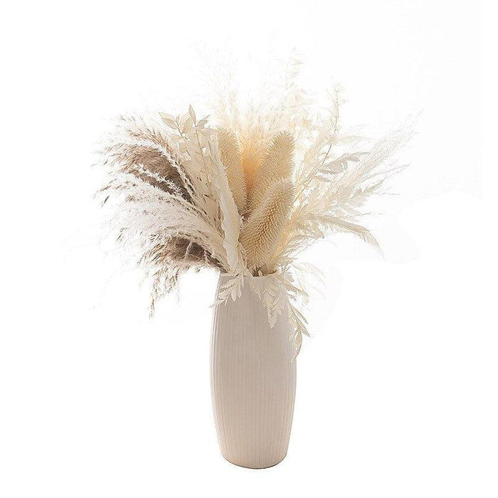 Nordic Reed Pampas Dried Flower Bundle: Elegant Versatility for Home and Special Occasions