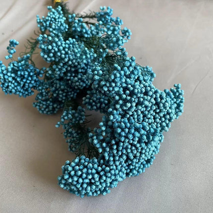 Timeless Treasures: Preserved Millet Flowers for Elegant Wedding Decor