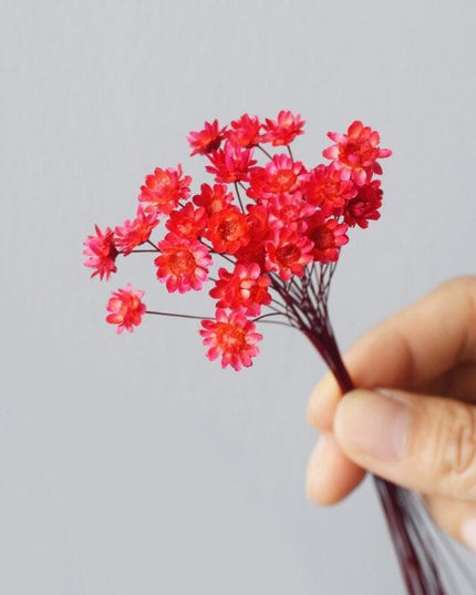 Elegant Starry Mini Floral Arrangement - Perfect for Weddings and Home Accents