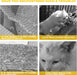 Feline Fun Interactive Cat Scratch Ball and Climbing Frame Combo