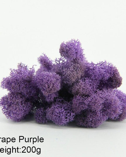 Timeless Greenery Art Creation Kit - Eternal Moss & Custom Grass Mix - 200g