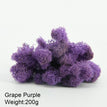 Grape Purple