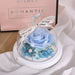Enchanting Rose Beauty: Eternal Rose in Glass Dome with Illuminating Lights