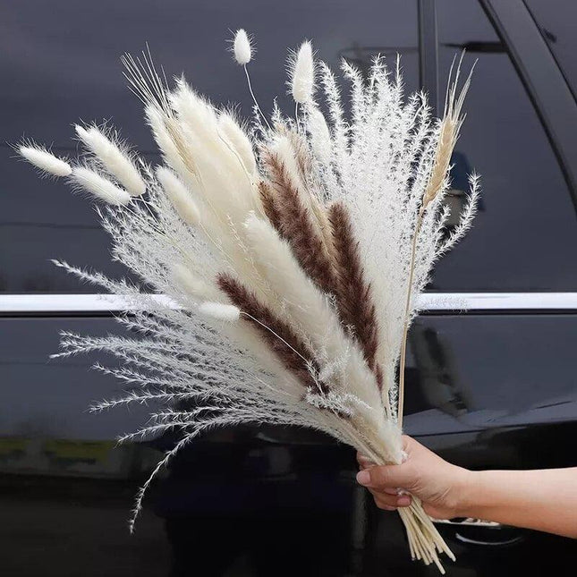 Elegant Dried Pampas Grass Bouquet for Stylish Home Accents