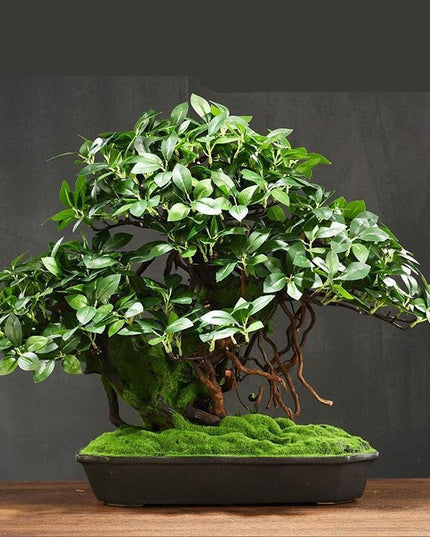 Tranquil Retreat Faux Pine Bonsai - Elegant Zen Decor Element