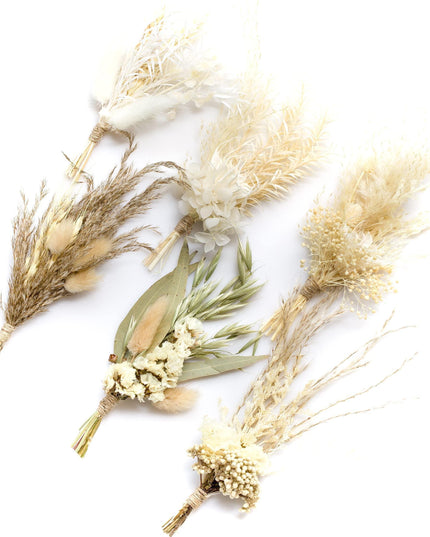 Vibrant Dried Hydrangea and Pampas Grass Set - 6 Colorful Mini Packs