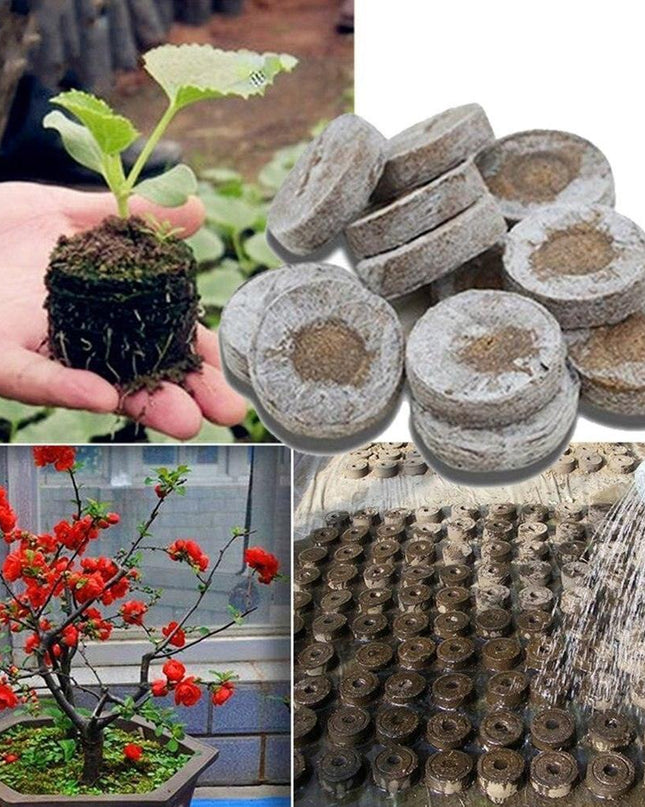 Sustainable Seedling Starter Kit with Biodegradable Peat Blocks for Thriving Gardens