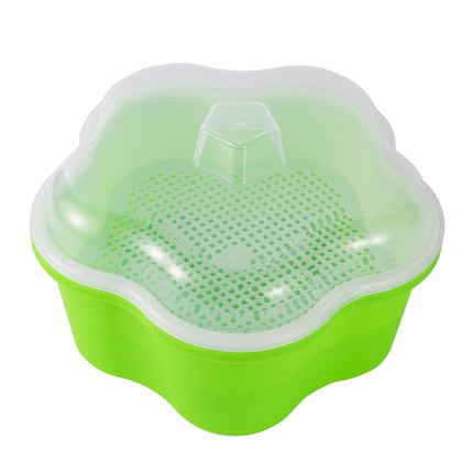 Homegrown Health: Ultimate Sprouting Kit for Fresh, Nutrient-Dense Delights!