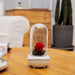 Eternal Elegance LED Rose Dome with Aromatherapy and USB Power - Captivating Floral Accent Light - Timeless Botanical Experience - Preserved Rose Delight