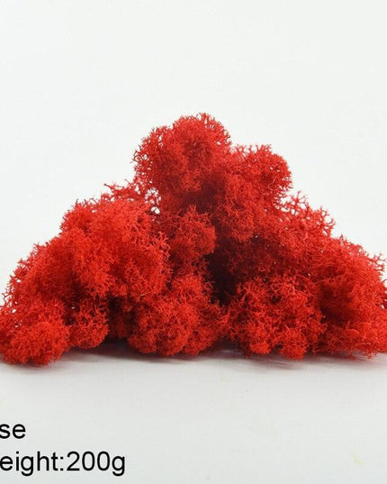 Timeless Greenery Art Creation Kit - Eternal Moss & Custom Grass Mix - 200g