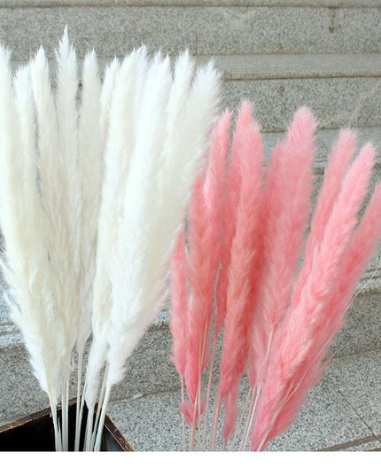 Timeless Elegance Pampas Grass Arrangement: A Chic Addition to Your Home Decor