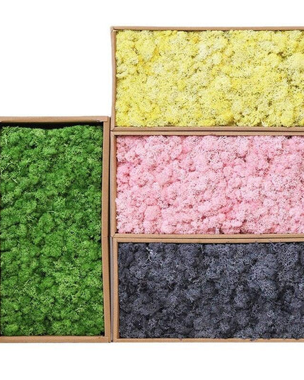 Timeless Greenery Art Creation Kit - Eternal Moss & Custom Grass Mix - 200g