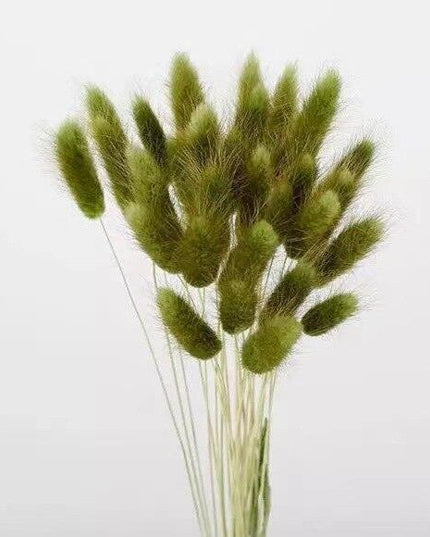 Rustic Boho Bunny Tail Dried Flower Arrangement for Weddings and Home Decor