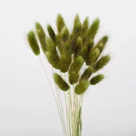 Natural Fluffy Bunny Tails Dried Flowers for Boho Wedding Decor - Pack of 30/100