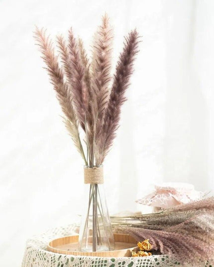 Timeless Pampas Reed & Whisk Dust Dried Flowers Collection for Elegant Home Decor & Events