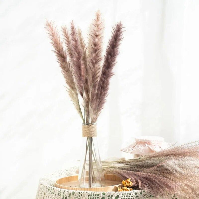 Everlasting Grace: Luxe Pampas Reed & Whisk Dust Dried Flowers for Enduring Home Décor & Events