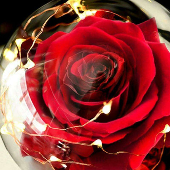 Radiant Velvet Rose Lantern - A Cherished Celebration of Love and Grace