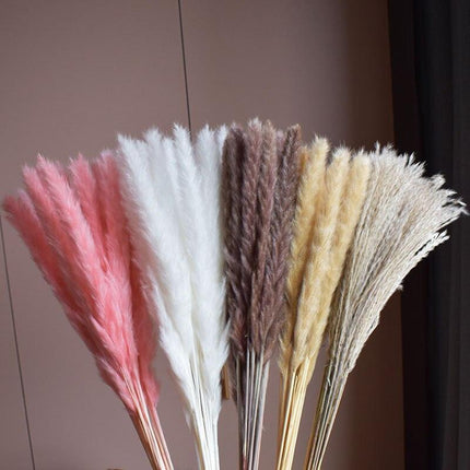Chic Pampas Grass Home Decor Set - 15 Beautiful Dried Bouquets