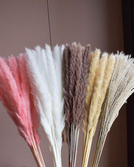 Chic Pampas Grass Home Decor Set - 15 Beautiful Dried Bouquets