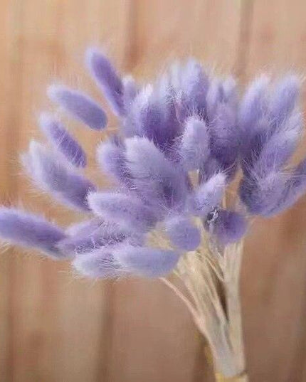 Boho Chic Dried Bunny Tail Floral Arrangement - Elegant Rustic Home Accent