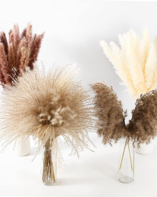Dried Pampas Grass Bouquet - Elegant Rustic Decor for Homes and Weddings