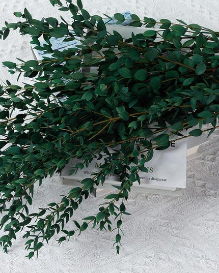 Charming Dried Eucalyptus Millet Leaf Arrangement: A Stylish Home Decor Essential