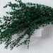 Elegant 60g Preserved Eucalyptus Millet Leaf for Stylish Home Decor