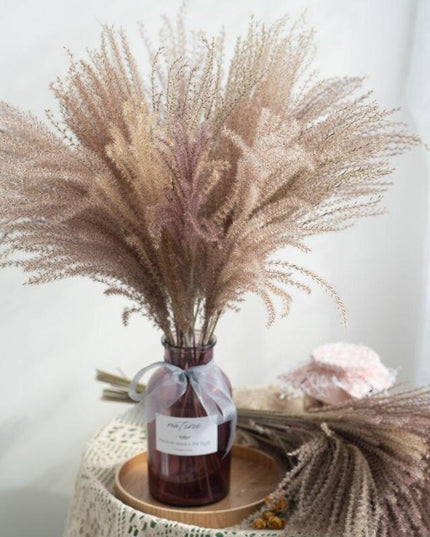 Timeless Pampas Reed & Whisk Dust Dried Flowers Collection for Elegant Home Decor & Events