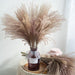 Eternal Elegance: Premium Pampas Reed & Whisk Dust Dried Flowers for Timeless Home Décor & Events