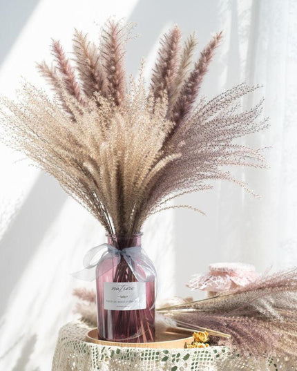 Timeless Pampas Reed & Whisk Dust Dried Flowers Collection for Elegant Home Decor & Events