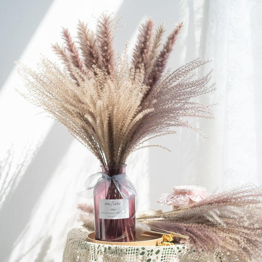 Everlasting Grace: Luxe Pampas Reed & Whisk Dust Dried Flowers for Enduring Home Décor & Events