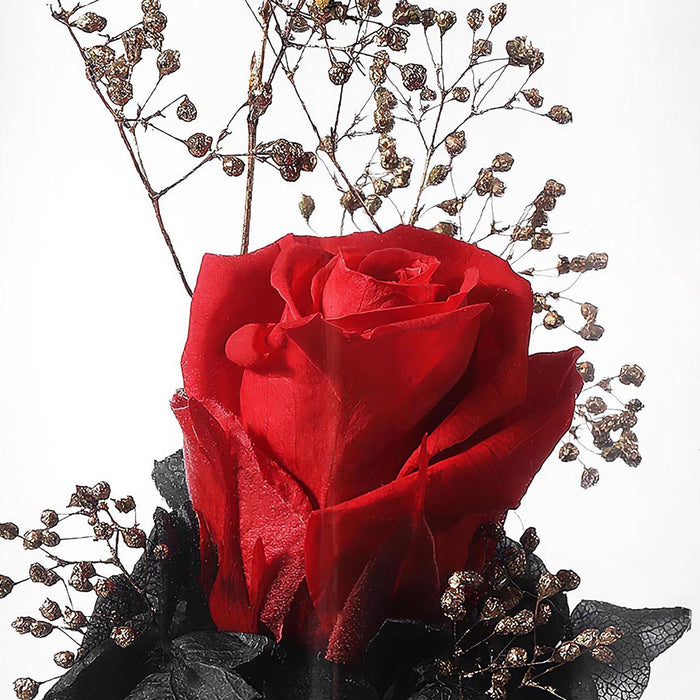 Eternal Elegance LED Rose Dome with Aromatherapy and USB Power - Captivating Floral Accent Light - Timeless Botanical Experience - Preserved Rose Delight