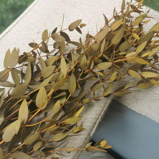 Enduring DIY Eucalyptus Leaf Garland Kit - Preserved Nature's Beauty