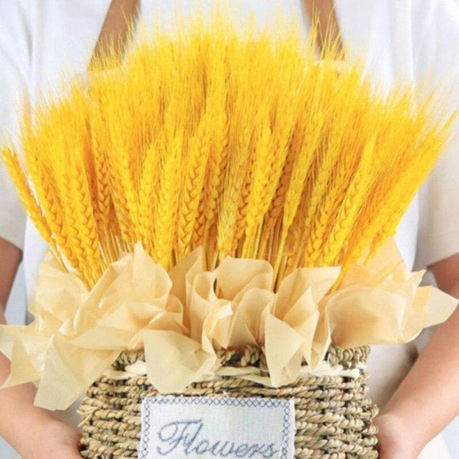 Natural Elegance Wheat Bundle - Timeless, Luxurious, and Abundant