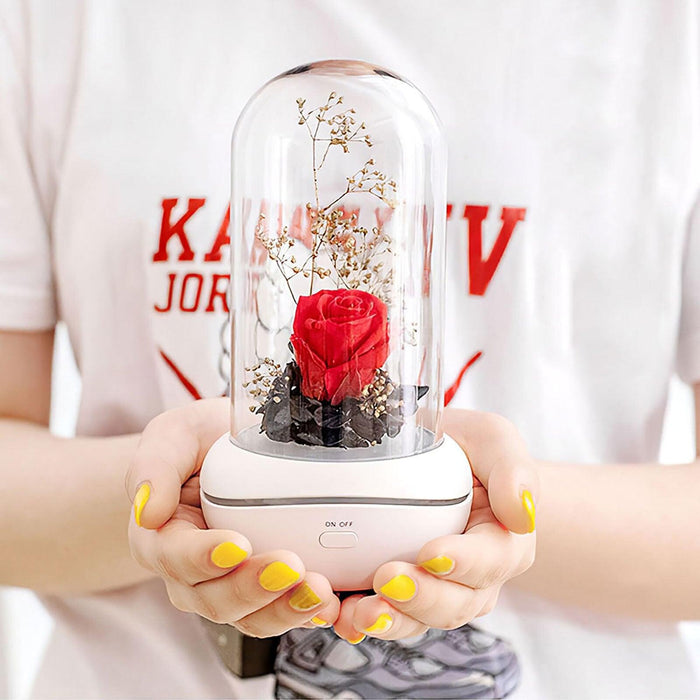 Eternal Rose Flower Dome with LED Lights and Aromatherapy - Rechargeable USB Decor Piece - Captivating Floral Atmosphere Piece
