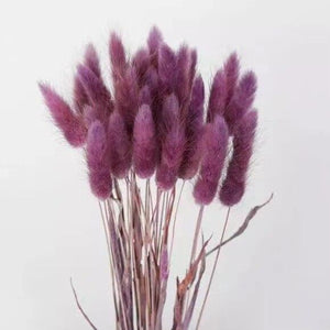 30pcs 100pcs Fluffy Bunny Tails Dried Flowers Arrangement Natural Rabbit Tail Grass for Vase Boho Floral for Wedding Home Decor-0-Très Elite-purple red-30pcs-Très Elite