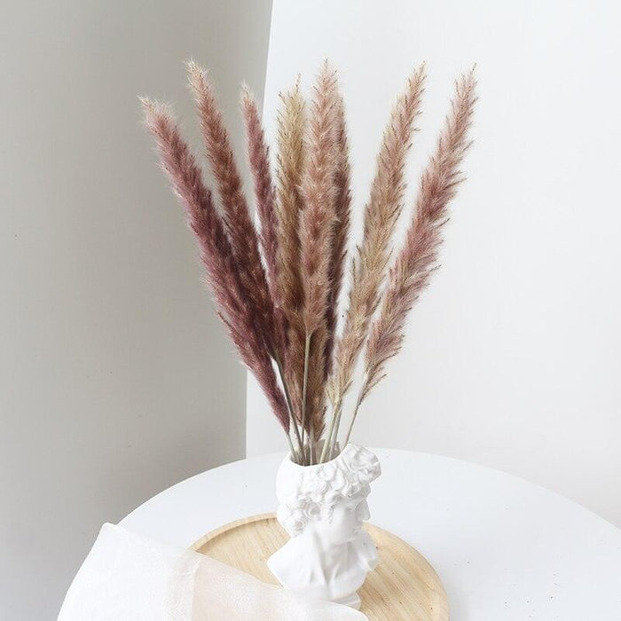 Elegant Natural Dried Pampas Grass Bunch for Chic Interior Decor