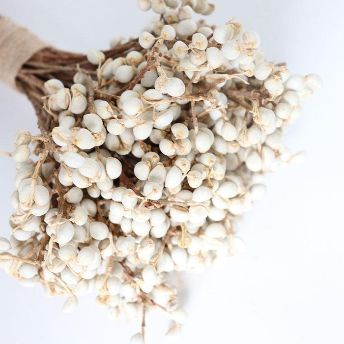 Elegant White Dried Floral Bouquet with Mini Fruits for Home and Event Styling